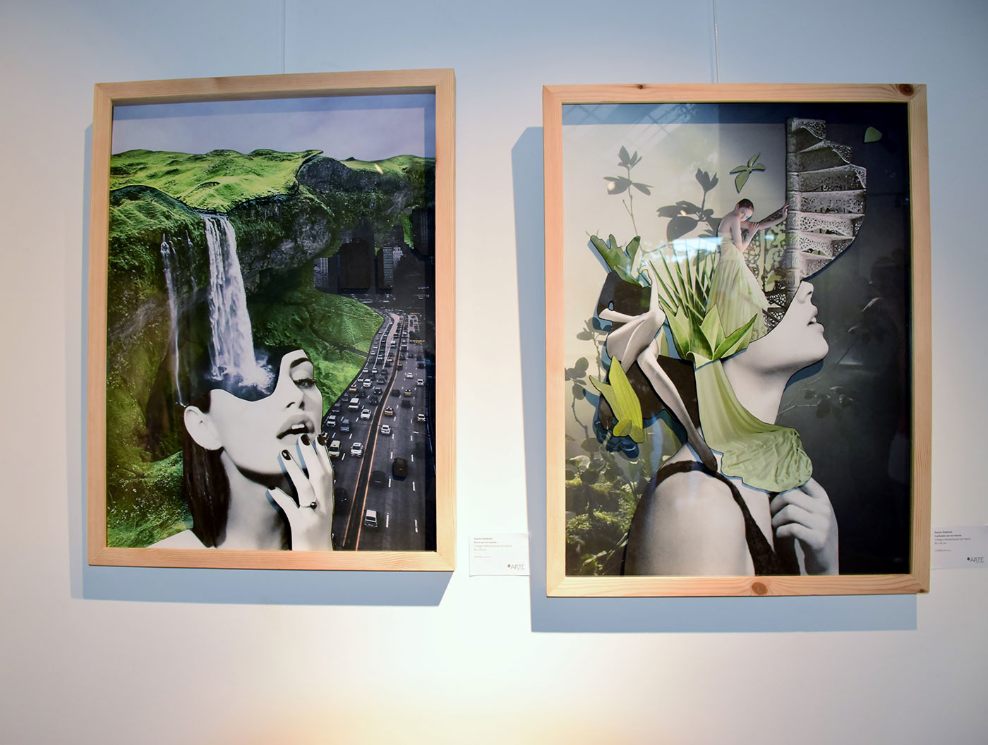 Damla Özdemir arte