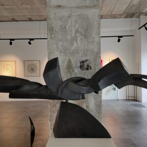 Despliegue - Patrick Fossey