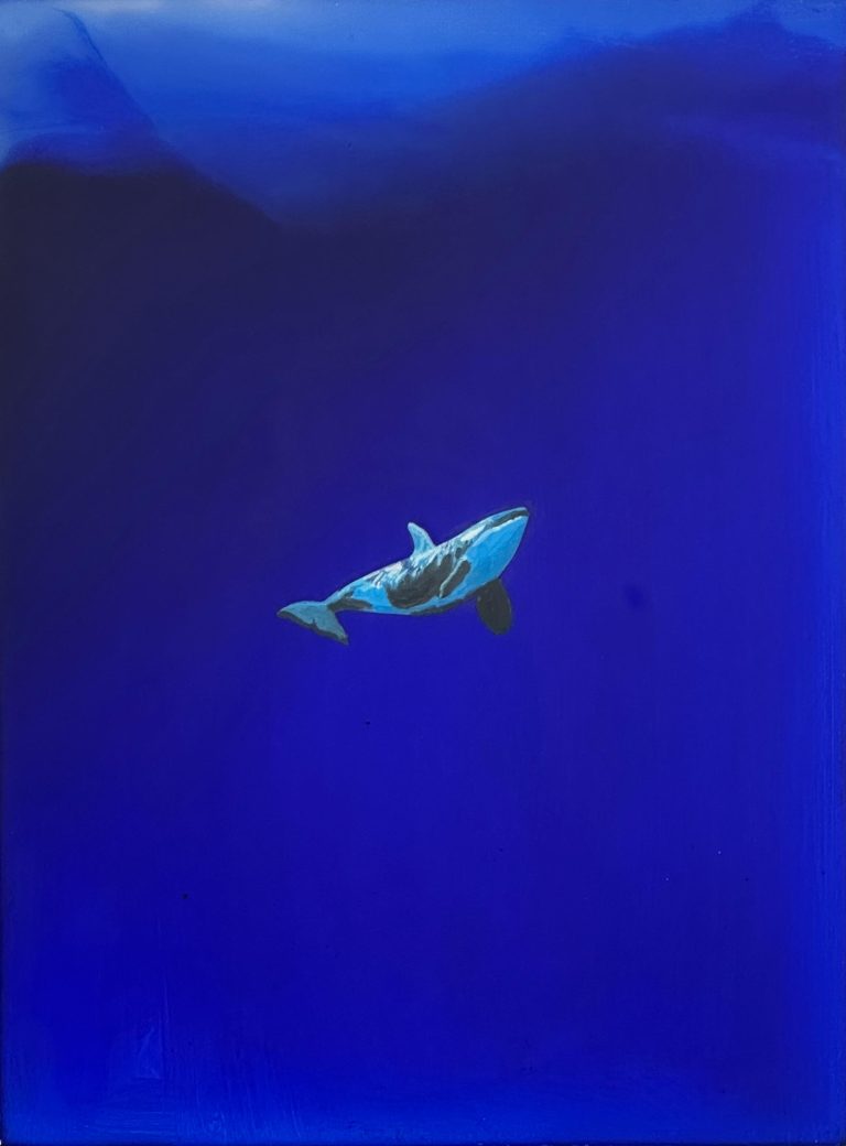 Oceana V