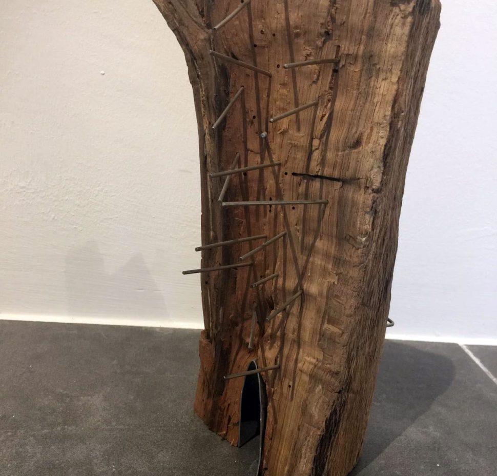 Antonio Yesa - Mundo Orgánico