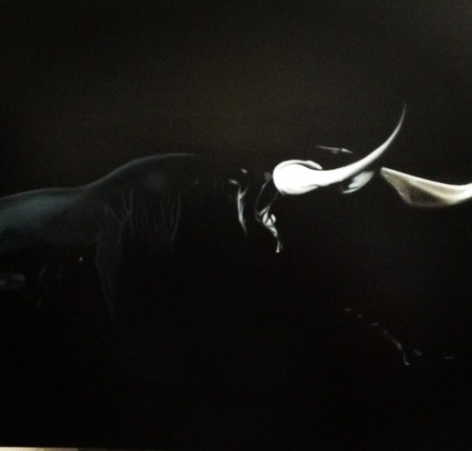 Toro Español 150 x 120 cm