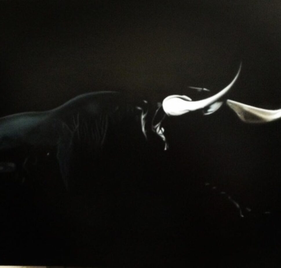 Toro Español 150 x 120 cm